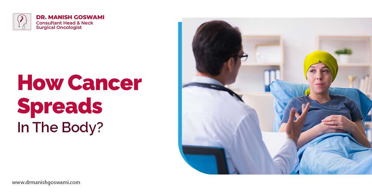How Cancer Spreads in the Body